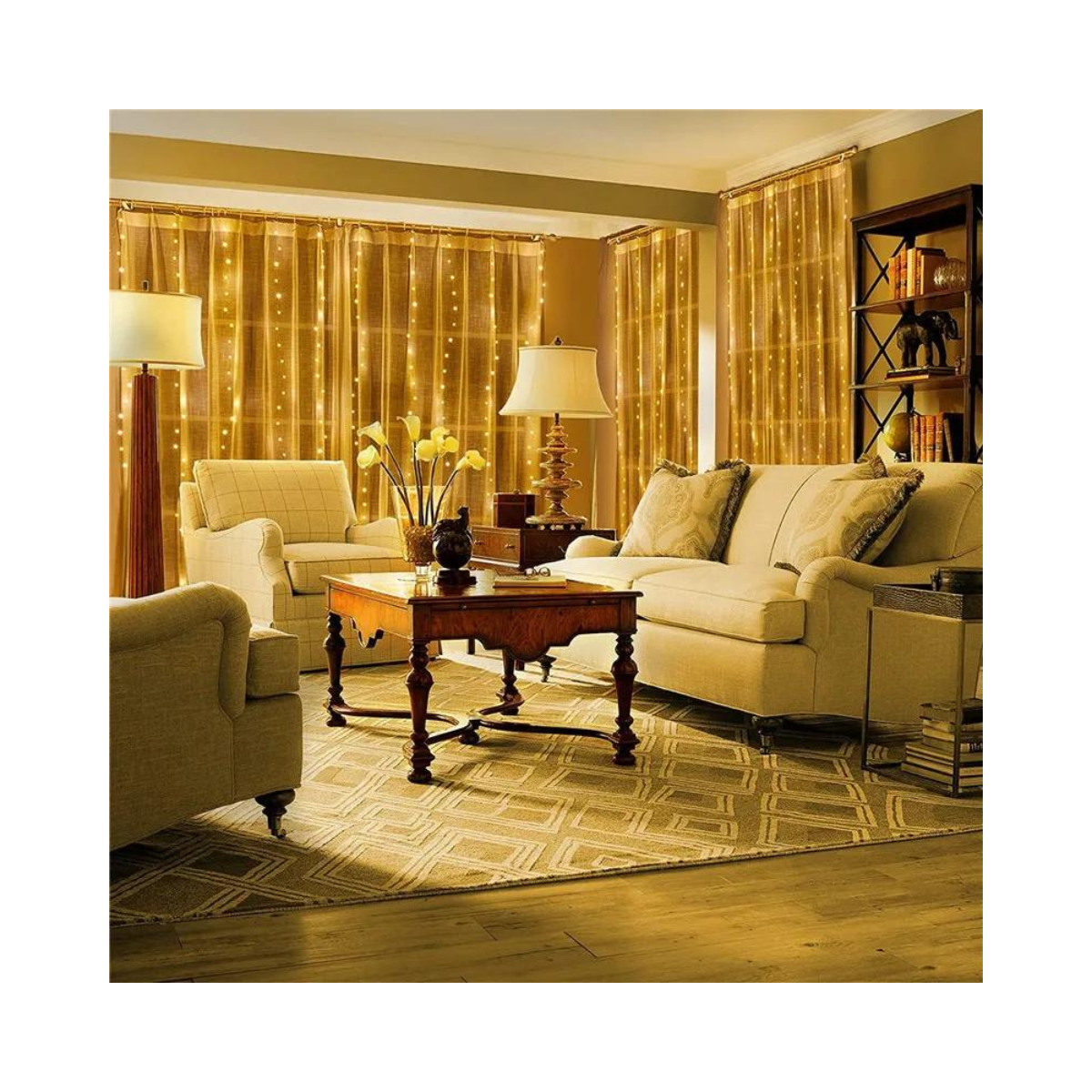 Luces de cortina para exteriores 3x2M